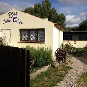 Codduecchju Bed & Breakfast
